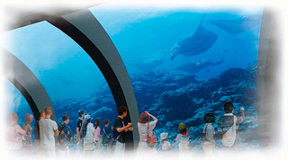 石垣市が３月までに水族館建設推進基本計画を策定した水族館の内観イメージ