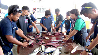 海上で漁師の仕事を体験した後、魚をさばく久部良中学校の生徒たち＝11日、与那国町漁協セリ場