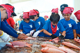 魚のさばき方などを学んだ八島小の６年生＝17日午後、登野城漁港