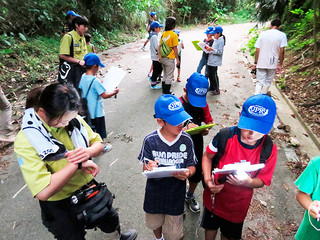 「アコークローの生き物調査」で、鳥やカエルの鳴き声を記録しながら野底林道を歩く子どもたち＝17日夜、野底林道（エコツーリズム・環境教育「ふくみみ」提供）
