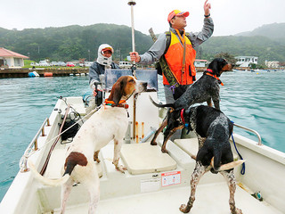 犬を伴い、内離島に向かう県猟友会竹富町地区のメンバー＝１月30日、白浜港