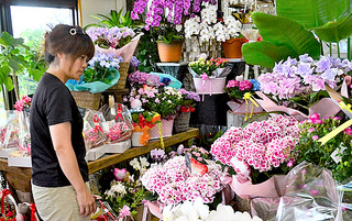 贈答用の花を選ぶ来店客＝７日午後、フラワーショップミチ