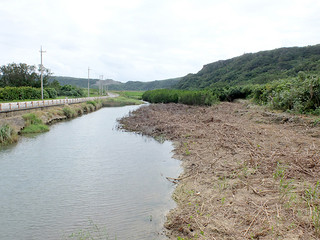 町が河川氾濫の原因の一つとして樹木やヒルギの一部を除去した田原川河口付近。一時中断を余儀なくされている＝19日午後