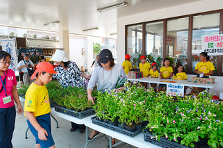 自分たちで育てた野菜や花を販売する川原小の児童たち＝４日午前、ＪＡファーマーズマーケットやえやまゆらてぃく市場