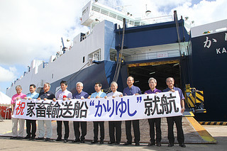家畜輸送船「かりゆし」の就航を祝う関係者ら＝17日午後、石垣港