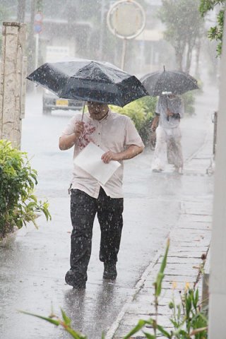 雨の中、傘をさして足早に移動する人々＝８日、石垣市登野城