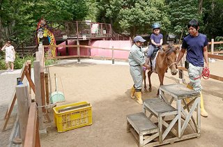 子どもたちの体験乗馬に貢献する与那国馬。異郷の地で人気を集めている＝22日、静岡県三島市立公園楽寿園（与那国町提供）