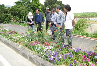 「第17回花と緑の街角コンテスト」に応募のあった場所を審査する審査員ら＝14日午後、石垣市名蔵