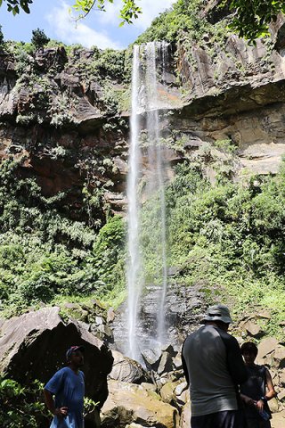 沖縄県内で約55㍍の最大落差を誇るピナイサーラの滝。自然体験ツアーの人気スポットだ＝２０１９年６月29日
