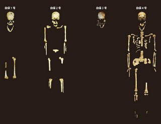 右は全身骨格がほぼ残った人骨としては国内最古の「白保４号人骨」＝沖縄県教育庁文化財課提供