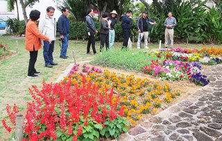 花と緑の街角コンテストに応募のあった場所を審査する審査員ら＝12日午後、石垣市美崎町の大鷲の像公園