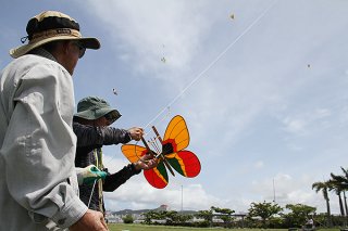 八重山凧愛好会のミニ交流会が開かれ、約40人が参加した＝28日、南ぬ浜町緑地公園