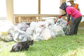 石垣島しっぽの会の清掃活動に参加し、南ぬ浜町の緑地公園をボランティア清掃する市民＝22日午前、同所