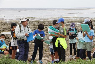 海岸沿いに自生する植物について説明を受ける子どもたち＝26日午前、南大浜海岸