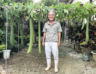 自宅の庭で実った大きなヘチマを前に笑顔を見せる崎山用照さん＝９月21日、西表島祖納