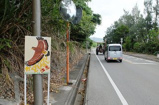 大本小学校前に設置されている「カンムリワシとび出し注意」の看板。数十㍍先の山林で沖縄防衛局が宿舎建設を計画している＝30日午後