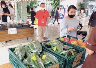 有人や無人販売で野菜を提供する「ゆいマルシェ」がスタートした＝26日午前、石垣市役所