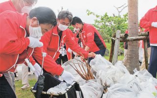 日健総本社のグループ企業の販売員ら150人が清掃活動を行った＝16日午前、南ぬ浜町緑地公園