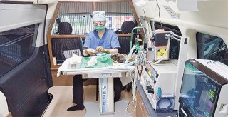 専用車両「アニマルモバイルクリニック」内での手術風景（ＮＰＯ法人どうぶつたちの病院沖縄提供）