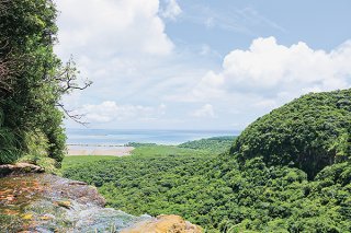 IUCNから世界自然遺産の「登録が適当」と勧告を受けた西表島の推薦地＝2019年6月29日、ピナイサーラの滝