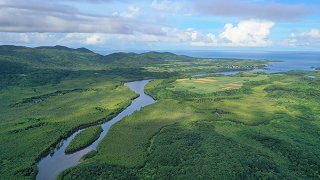 西表島の世界自然遺産登録の適否を決めるユネスコ世界遺産委員会が16日に開幕する＝6月10日、仲間川
