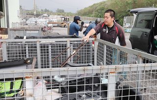 台風で飛んできた釣りざおや雨傘などを処分しにきた市民＝5日午前、石垣市一般廃棄物最終処分場