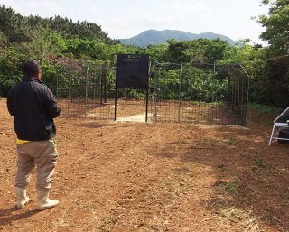 鳥獣被害防止へ実証実験が行われたＩＣＴ技術を使った大型のワナ＝2020年3月、平野地区