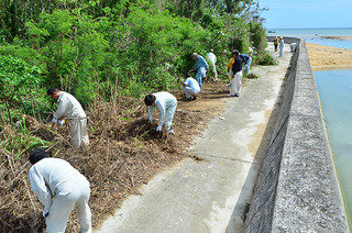 河川海岸愛護月間の一環として防潮林内の清掃をする参加者ら＝27日午後、磯辺橋近く