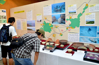 八重山で発見された中国産の陶器に見入る見学者ら＝２日午前、八重山博物館特別陳列室