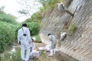 不法投棄された数10個のごみ袋を回収する県と市の職員ら＝11日午後、新川川河口