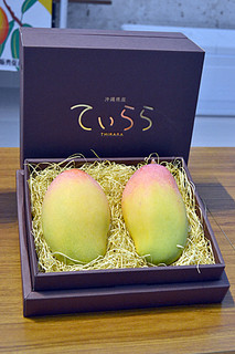 西表島で栽培されている沖縄県の新しいマンゴーの奨励品種「てぃらら」