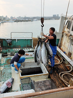 八重山漁協に水揚げされるマグロ＝１月４日。今月以降、漁協を通して本島市場に出荷される水産物には輸送費の補助が出る