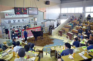 71万４０００円の高値が付くご祝儀相場となった八重山家畜市場の初セリ＝11日午後