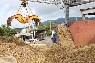 １週間ぶりに操業を再開した石垣島製糖。トラックが次々に原料のサトウキビを運び込み、工場に活気が戻った＝６日午前、同社工場