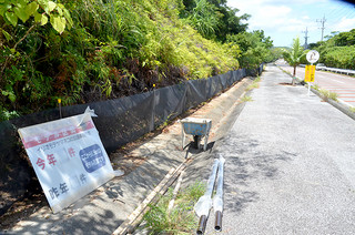 県道沿いに整備されたイリオモテヤマネコの侵入防止フェンス＝２０１４年８月27日、西表島高那地区