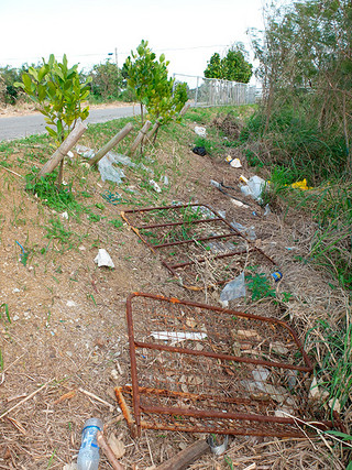 除草後に不法投棄されたゴミ＝２月19日、新川川