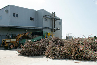 ３２００㌧の原料を処理した小浜製糖工場（資料写真）