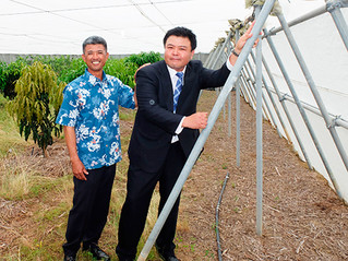 平張りネットハウスの改良で文部科学大臣表彰を受けた島尻勝人さん（左）と識名安輝さん＝２１日午後、熱研の平張りネットハウス内