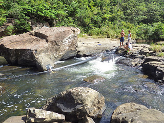 取水パイプが設置されているマリユドゥの滝（日本魚類学会提供写真）＝７月29日