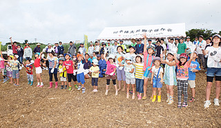 ひまわりの種まきイベントに参加する人たち＝23日午前、石垣市川平真地原付近