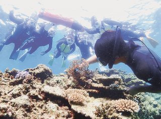 サンゴにからまった網を除去するダイバーと、活動を見守る参加者＝3日午前、大崎海域（提供）