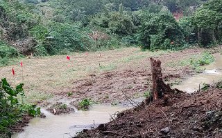 造成工事現場から赤土混じりの泥水流出が確認された＝11日、平得大俣（基地いらないチーム石垣提供）