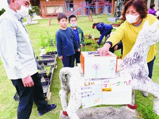 竹富小中学校栽培委員会が、マリーゴールドの無人販売を実施した＝1日午後、同校職員室前の広場