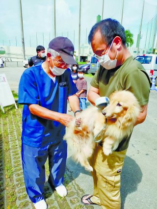 石垣市内で2022年度狂犬病予防集合注射が始まった＝29日午前、石垣市中央運動公園