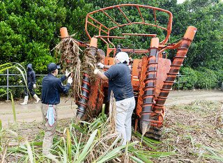長雨のため大幅な収穫遅れを受け、刈り取り作業を手伝う関係団体の職員ら＝5月23日