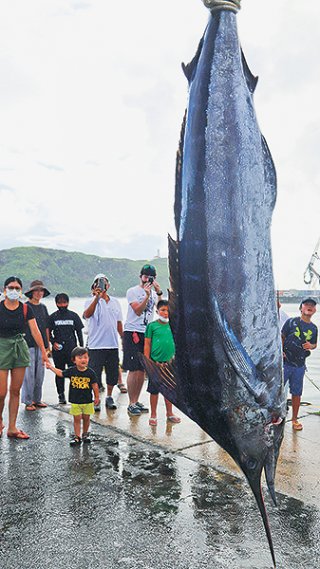 第33回日本最西端与那国島国際カジキ釣り大会。初日は4本の釣果があった＝2日午後、久部良漁港