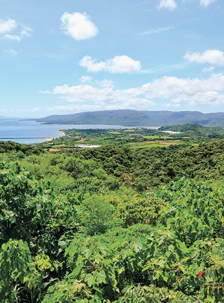 世界自然遺産登録から1年を迎えた西表島。「世界遺産ブランド」による影響と、オーバーユース対策の実効性が今後も注目される＝24日午前、西表西部地区